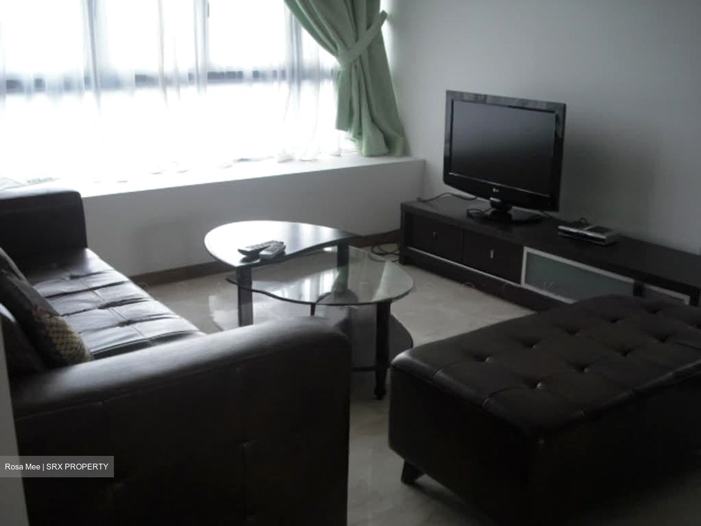 Viz At Holland (D10), Condominium #558859171